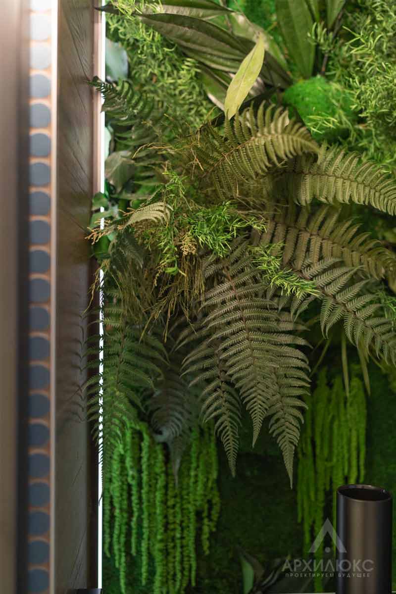 Вертикальное озеленение. Фитодизайн. Стена из живых растений